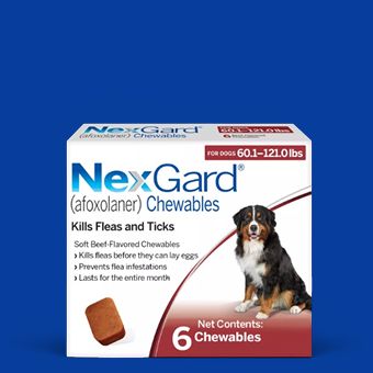 NexGard Chewable Tablets for Dogs