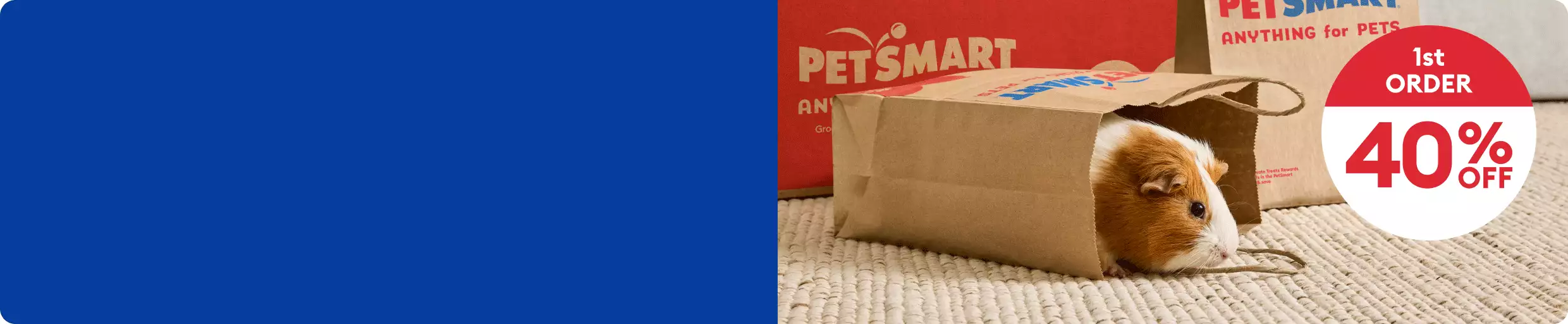 PetSmart boxes and bags with one bag tipped over with a hamster inside