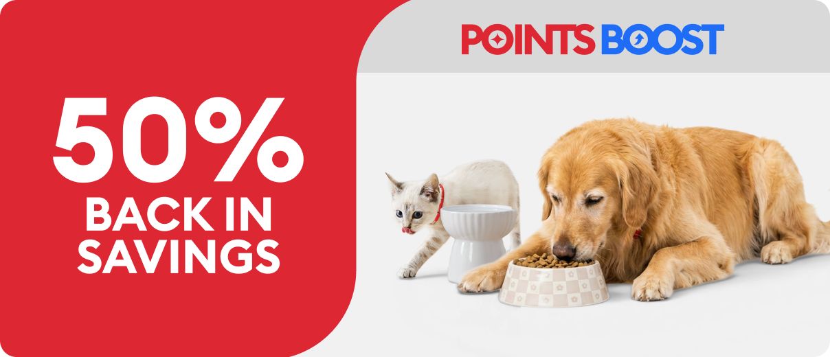 A cat drinking from a water fountain, a Golden Retriever eating from a food bowl, Points Boost callout & 50% back in savings offer