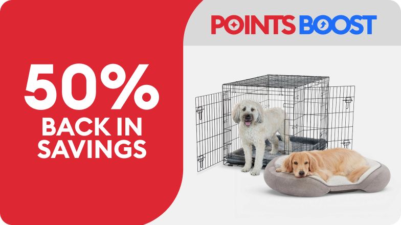 A dog standing in an open wire crate, a Golden Retriever laying in a bed and a Points Boost callout