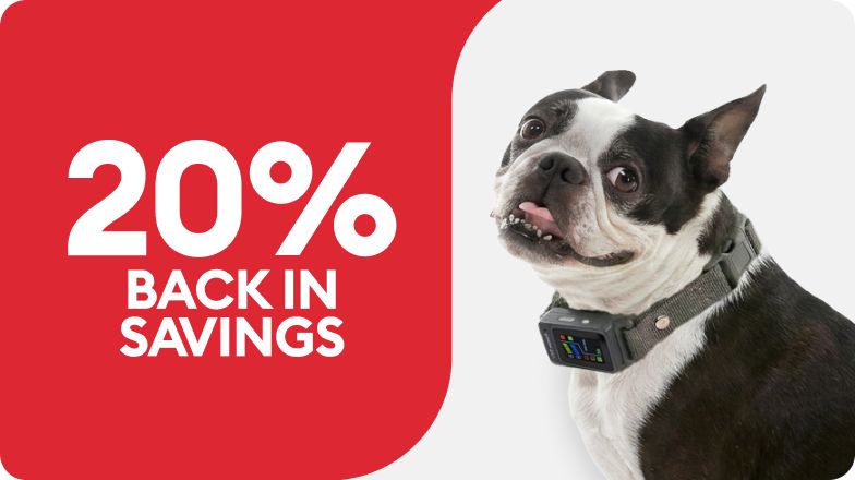 Black & white dog wearing a training collar and a 20% back in savings offer callout