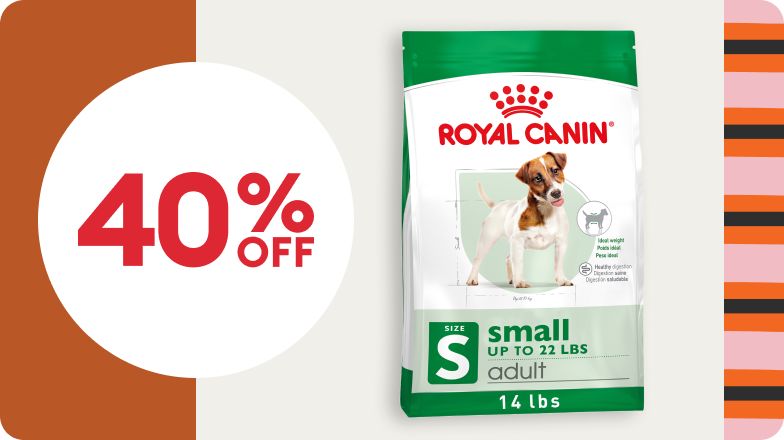 40% OFF offer and a bag of Royal Canin dog food