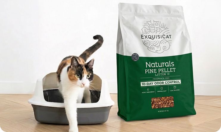 Bag of Exquisicat littter next to cat in litter box