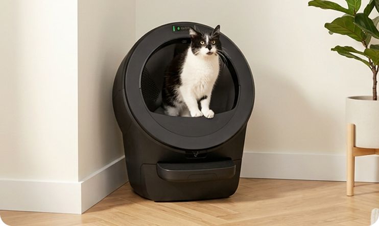 Cat in Litter-Robot litter box