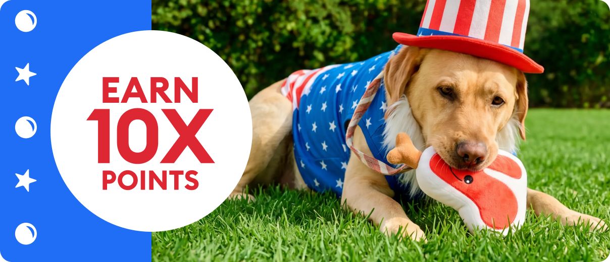 Dog in American flag bandana & cat in grass with blue & red balls and extra 10% off message