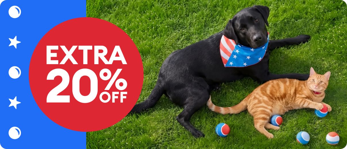 Dog with plush toy and American flag apparel with 10X points message