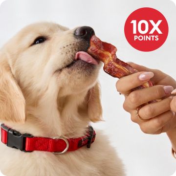 Dog licking treat & 10X points callout