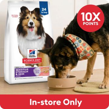 Dog eating Hill's Science Diet food from bowl & 10X points - in-store only callouts