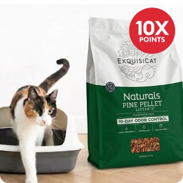 Exquisicat litter next to cat in litter box with 10X points callout