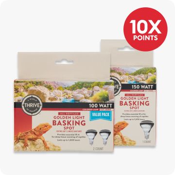 Reptile light bulbs & 10X points callout