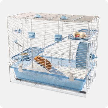 Hamster in habitat