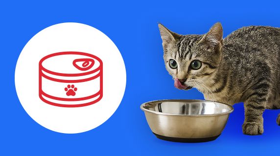 A graphic of a can with a paw on it and an image of a grey cat with its tongue out and a metal bowl