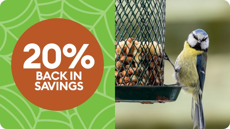 20% back in savings on rust with spiderweb on green background shown wild bird perched on feeder