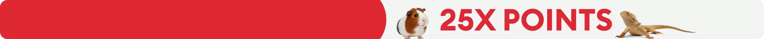 Text that reads "25X points" and a hamster and bearded dragon