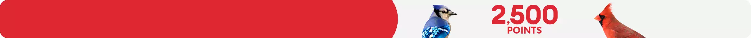 Text that reads "2,500 points" and a blue bird and a red bird