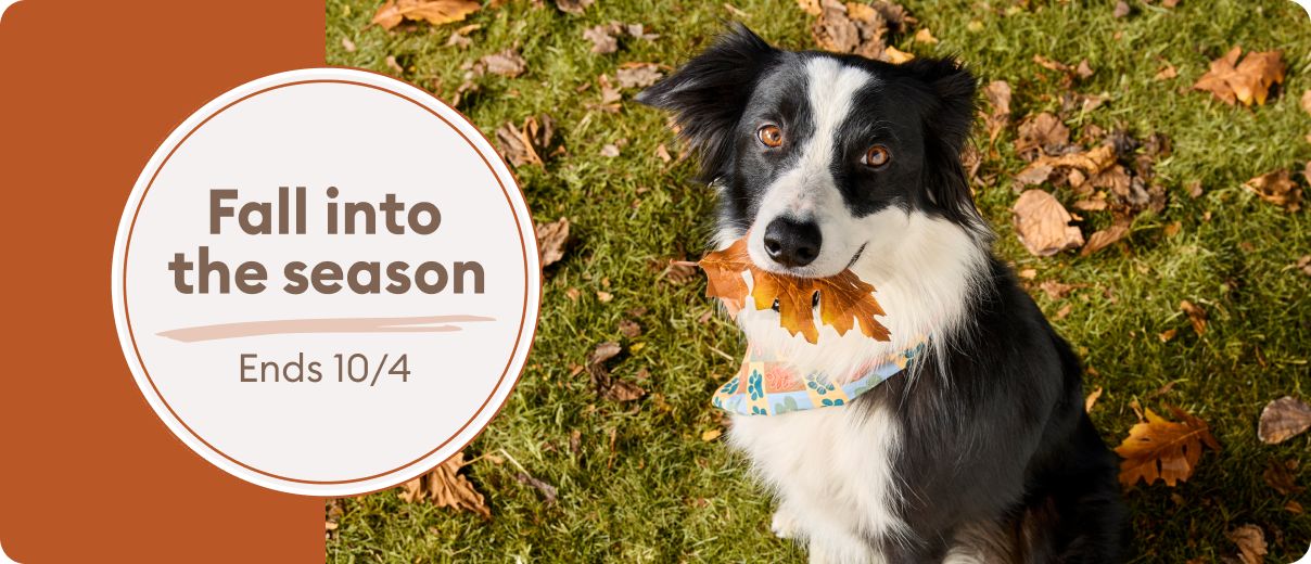 Fall into the season ends 10/4 in circle with dog & leaves