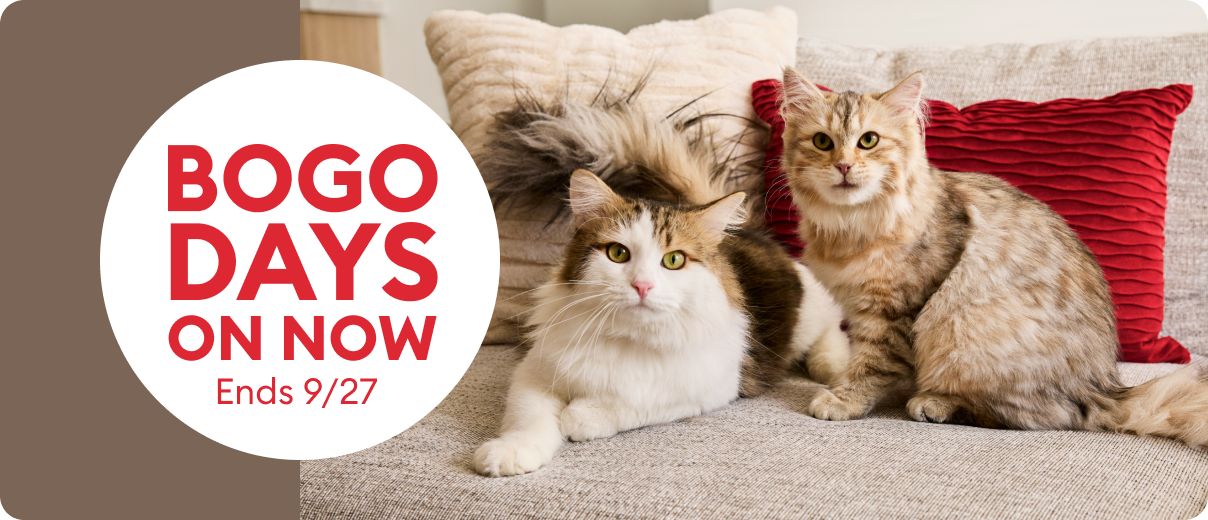 BOGO 25% OFF ends 9/27 in circle with dog & cat on pet bed