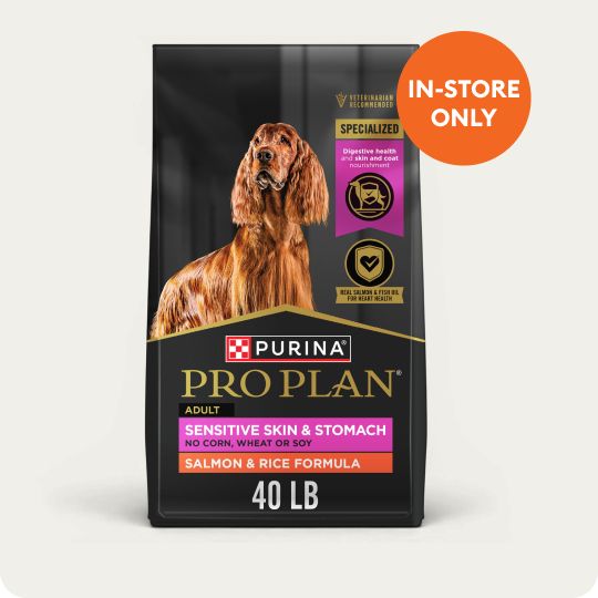 Royal Canin Feline Kitten Dry Food & in-store only callout