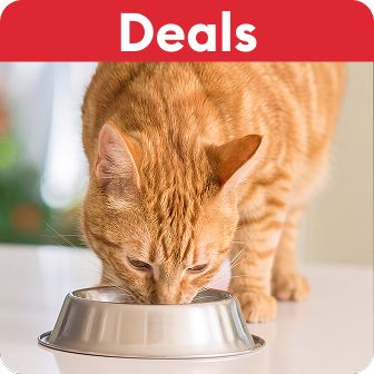 Deals callout and a cat eating out of a bowl