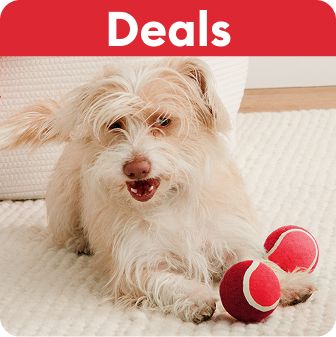Deals callout and a white dog lying on a rug with two red balls