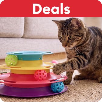 Deals callout and a cat playing with an interactive toy