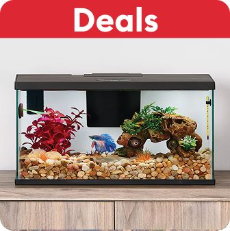 Deals callout and an aquarium on a table