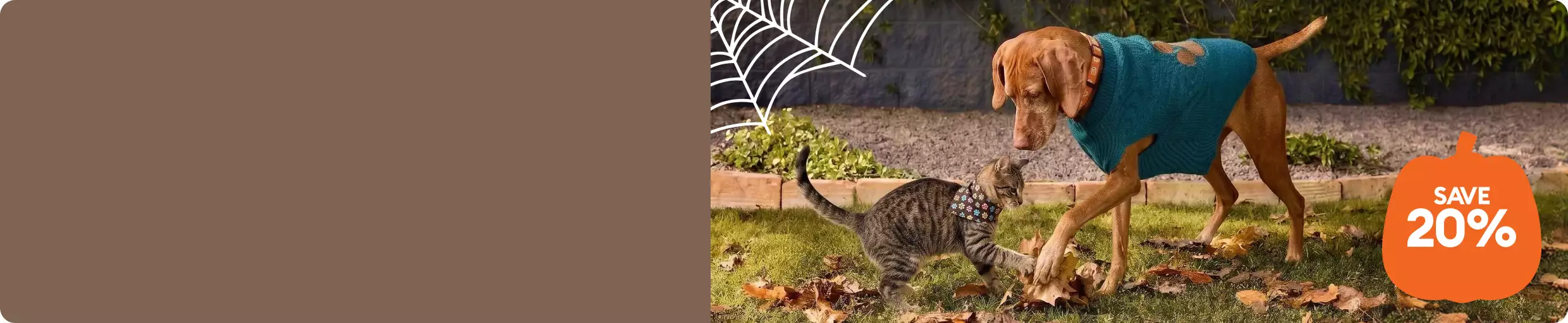 Brown dog wearing a teal sweater playfully interacting with a tabby cat in a fall yard with a save 20% callout