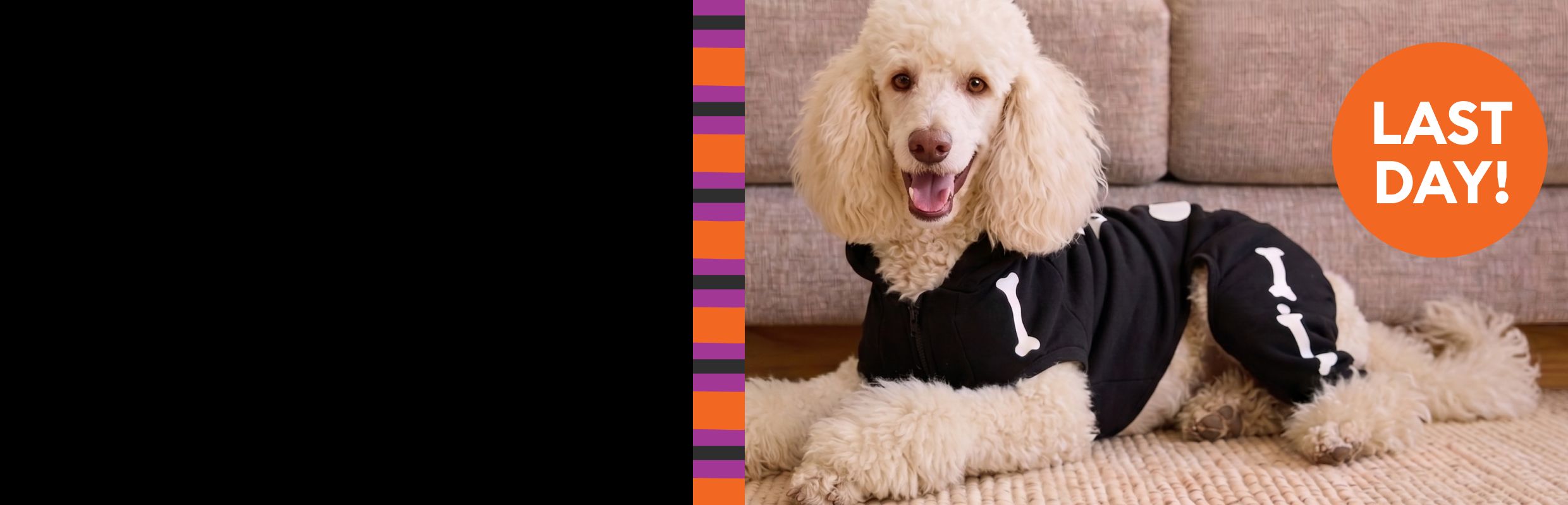 Dog wearing a skeleton costume and a last day callout