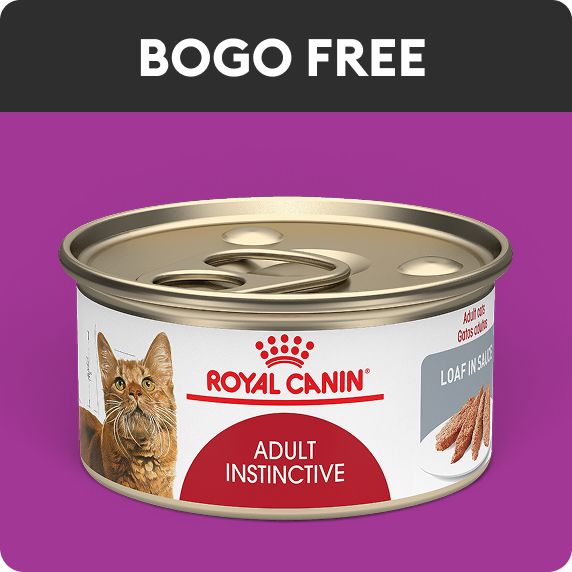 BOGO FREE callout & Royal Canin wet food
