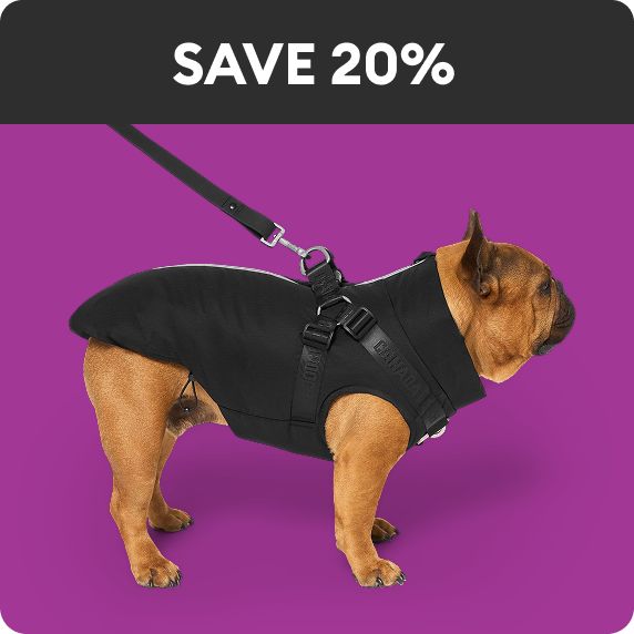 Save 20% callout & a dog wearing a Canada Pooch Complete Control Harness Winter Jacket