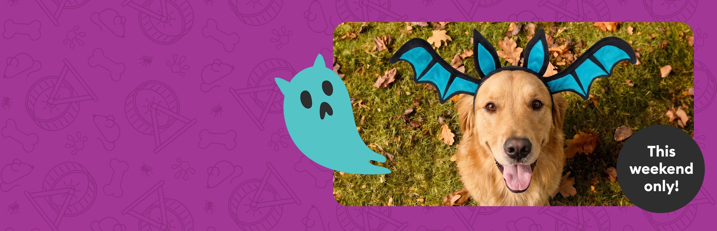 This weekend only callout and a dog sitting outside wearing a blue bat headband and a blue ghost graphic