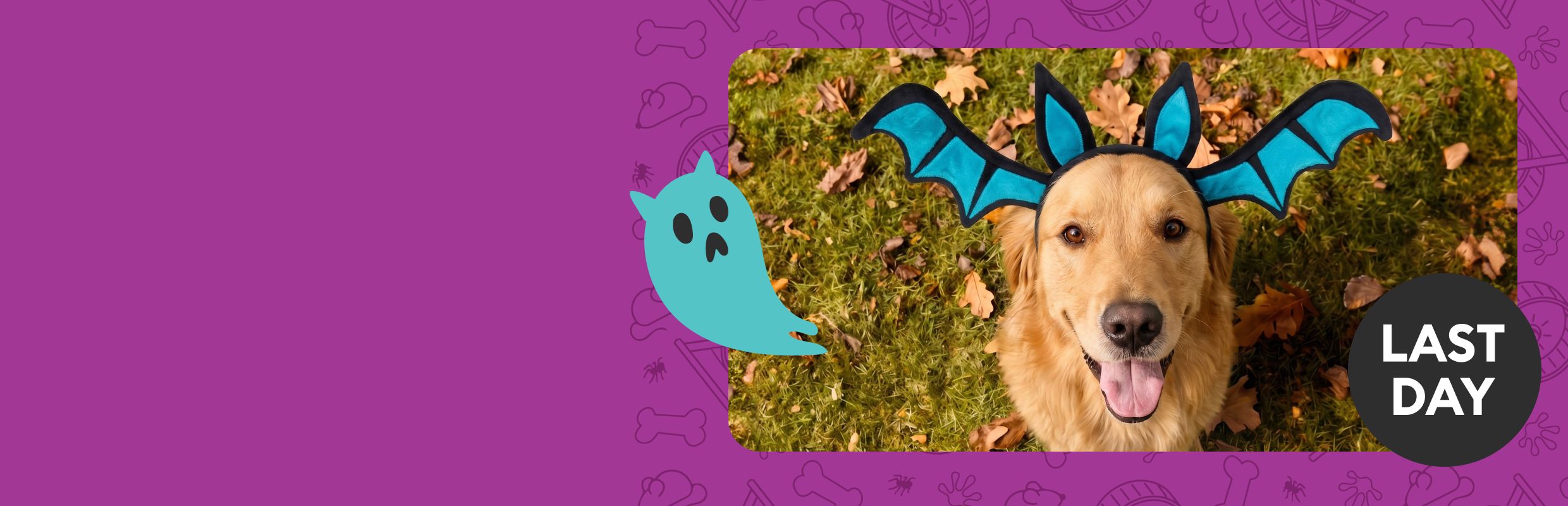 Last day callout and a dog sitting outside wearing a blue bat headband and a blue ghost graphic