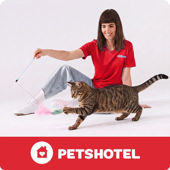 PetsHotel logo and a PetSmart Associate playing with a cat
