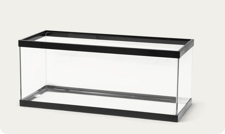 Open-glass aquarium