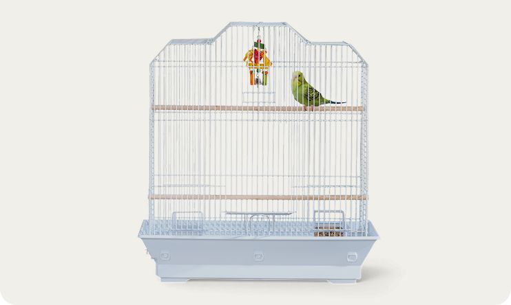 Bird inside a bird cage