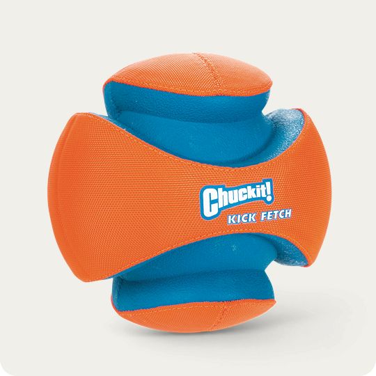 Chuckit! dog toy