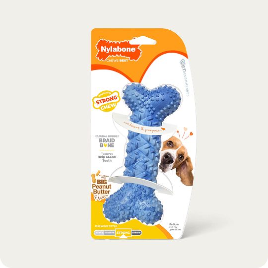 Nylabone dog toy