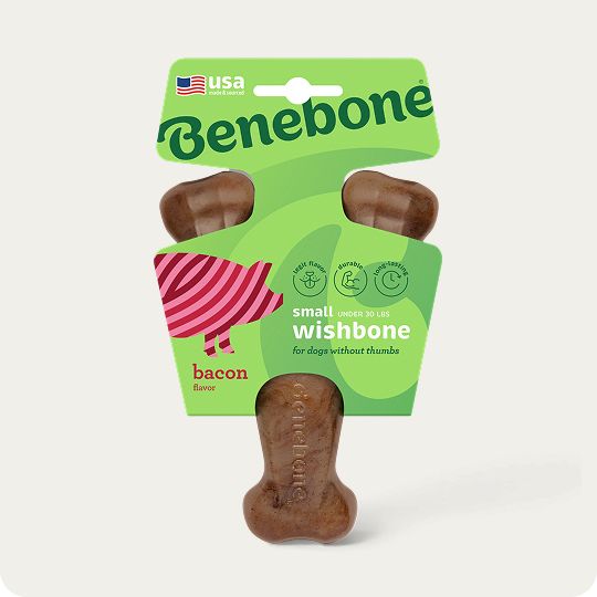 Benebone dog toy