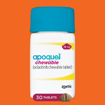 Apoquel Chewable Rx for Dogs