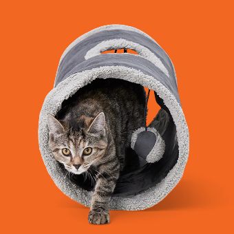 Cat inside a Whisker City Cozy Pop-Open Play Tunnel