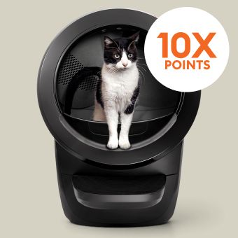 10X points callout & a cat standing in an automatic litter box