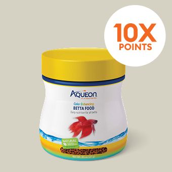 10X points callout & Aqueon betta fish food