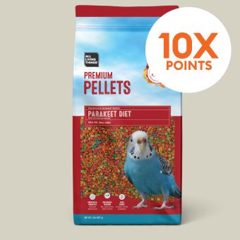 10X points callout & All Living Things bird food