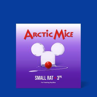 Arctic Mice Frozen Rats