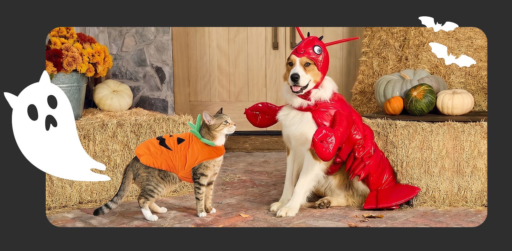 Cat wearing a pumpkin costume, dog dressed as a lobster in a fall-themed setting with pumpkins, hay bales and ghost & bat illustrations