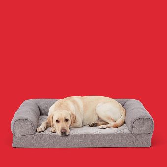 Dog lying on a Top Paw Orthopedic Bed