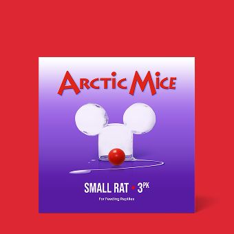 Arctic Mice Frozen Rats