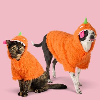 Dog & cat wearing a Thrills & Chills Orange Monster Hoodie