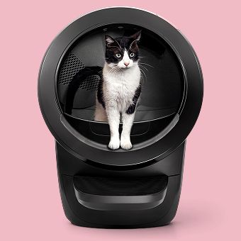 Cat standing in an automatic litter box