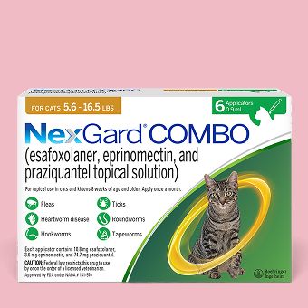 NexGard COMBO Topical Solution for Cats